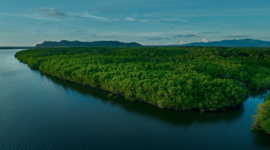 New-Palm-Beach-Celestria-View